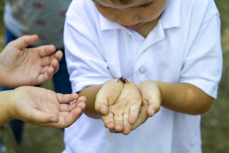 Prep nursery outdoor education 3