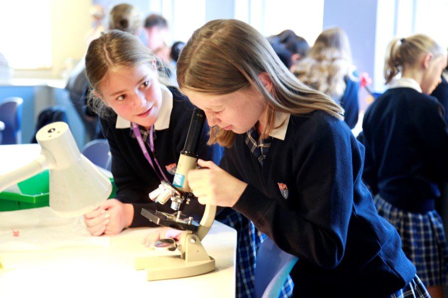 Microscope