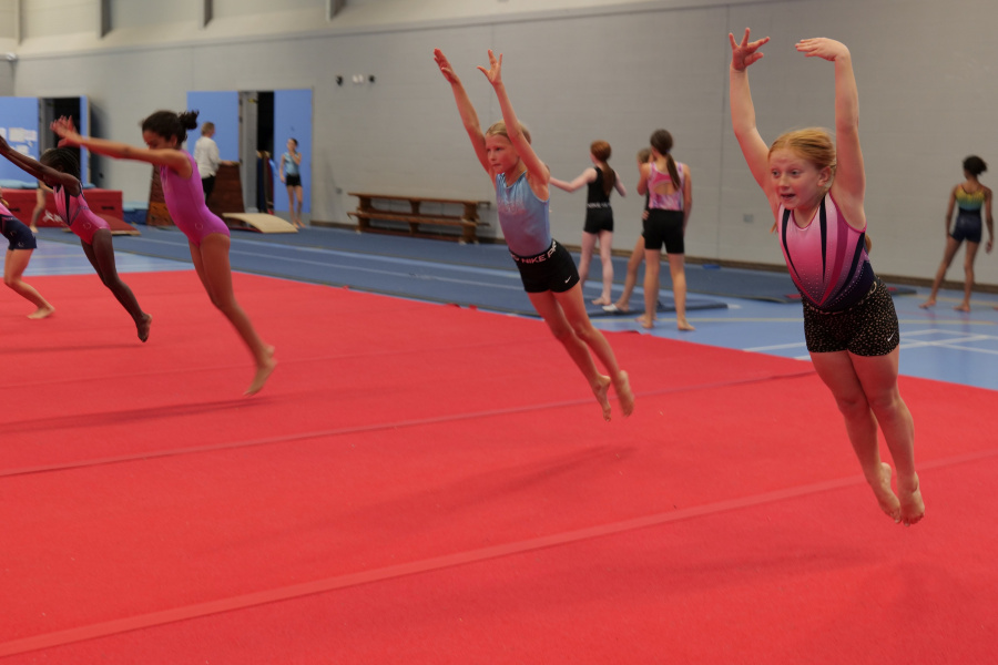 Gym Academy